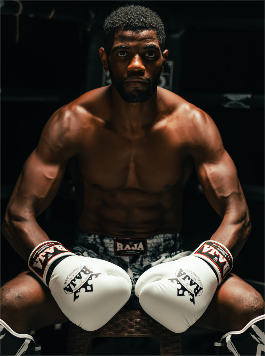 boxer